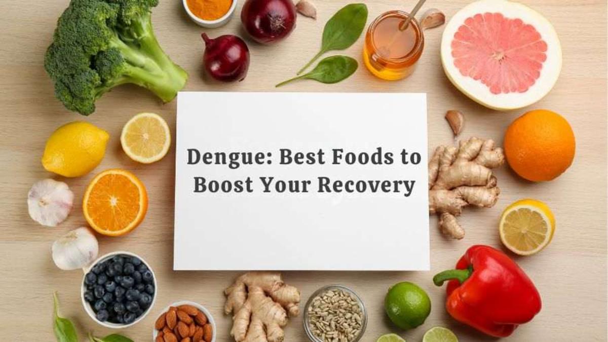 Dengue Recovery Diet: What Doctors Urge This Monsoon